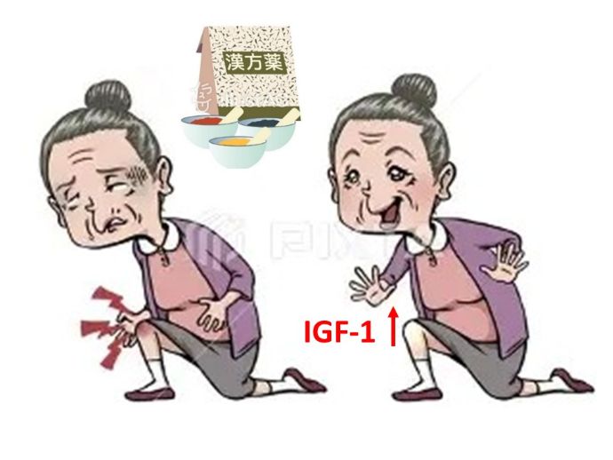 円形脱毛症　病院